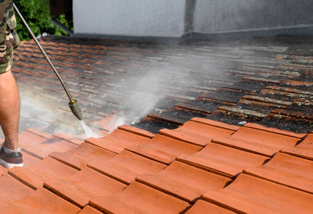  Front Royal, VA Pressure Washing Pros