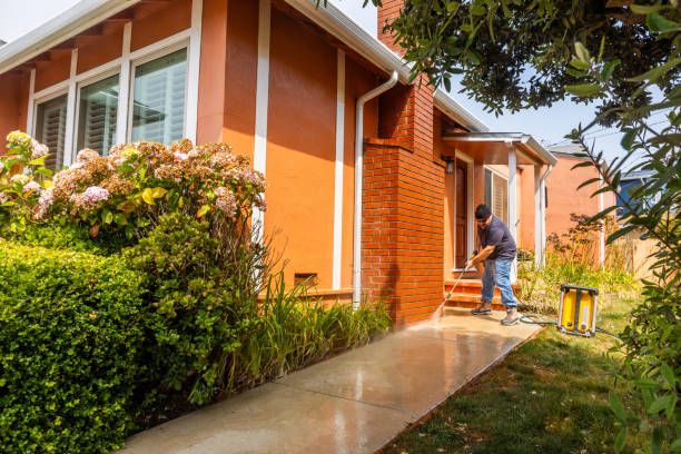 Best Affordable Power Washing  in Front Royal, VA