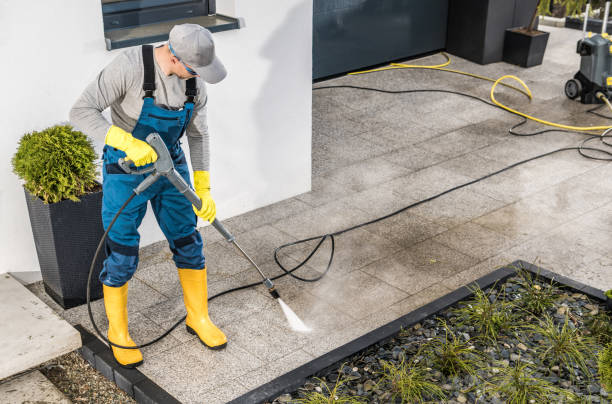 Best House Pressure Washing  in Front Royal, VA