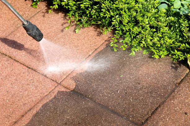Best Local Pressure Washing Services  in Front Royal, VA